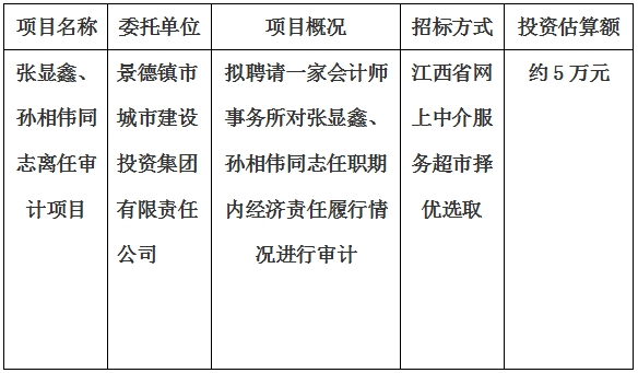 張顯鑫、孫相偉同志離任審計項目計劃公告