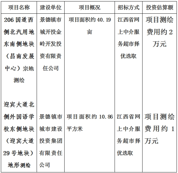 景德鎮(zhèn)市206國道西側(cè)北汽用地東南側(cè)地塊（昌南發(fā)展中心）宗地測繪項(xiàng)目及迎賓大道北側(cè)外國語學(xué)校東側(cè)地塊（迎賓大道29號(hào)地塊）地形測繪項(xiàng)目計(jì)劃公告