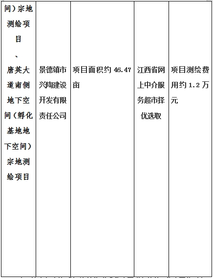 景德鎮(zhèn)市昌南新區(qū)LJ1-03-A01-1地塊、瓷都大道東側(cè)中渡口地下空間（格蘭云天大酒店地下空間）、光明大道北側(cè)利民路西側(cè)地下空間（青少年宮地下空間）、規(guī)劃二路北側(cè)地下空間地塊二（加速基地地下空間）、規(guī)劃二路北側(cè)地下空間地塊一（加速基地地下空間）、景德大道南側(cè)天寶橋西側(cè)地塊、景興大道東側(cè)如意路北側(cè)地下空間(社會公共服務(wù)