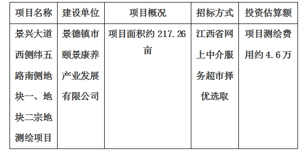 景興大道西側(cè)緯五路南側(cè)地塊一、地塊二宗地