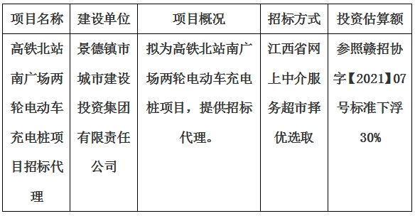 高鐵北站南廣場(chǎng)兩輪電動(dòng)車(chē)充電樁項(xiàng)目招標(biāo)代理計(jì)劃公告